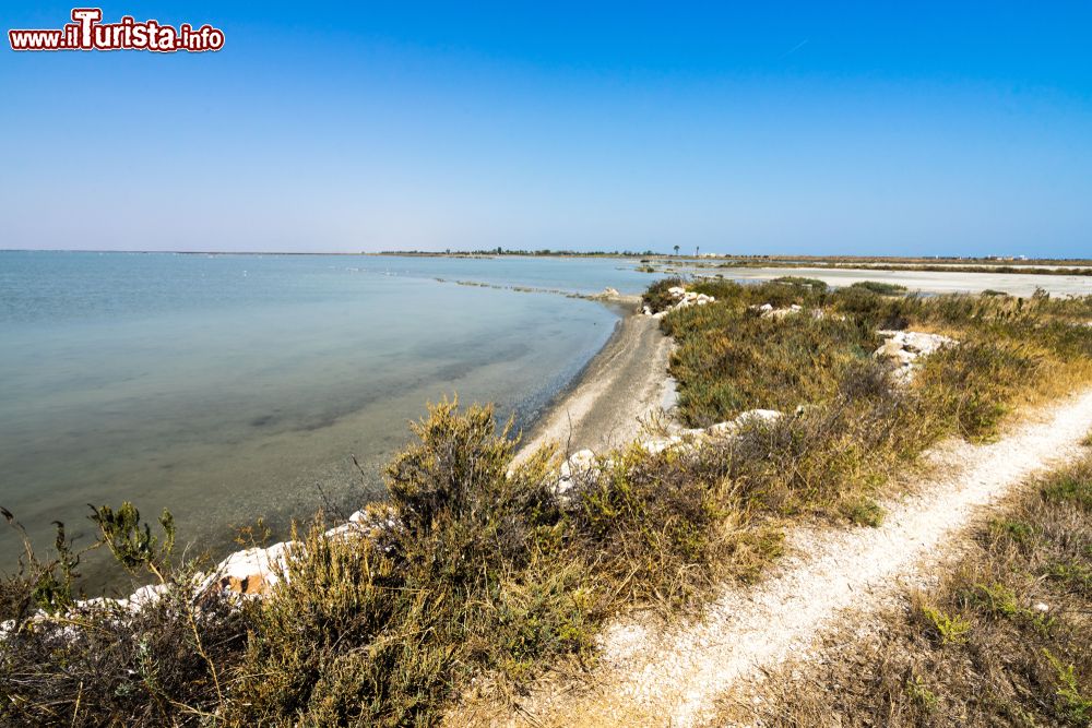 Immagine Uno scorcio delle Saline di Margherita di Savoia le più importanti della Puglia, a sud del Gargano