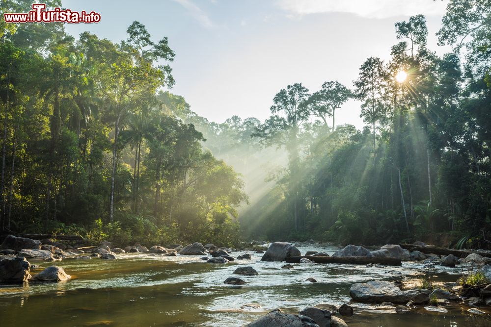 Immagine Uno scorcio dell'Endau Rompin National Park, al confine fra Johor e Pahang, Malesia. E' il secondo parco nazionale della penisola malesiana con un'area di circa 80 mila ettari.