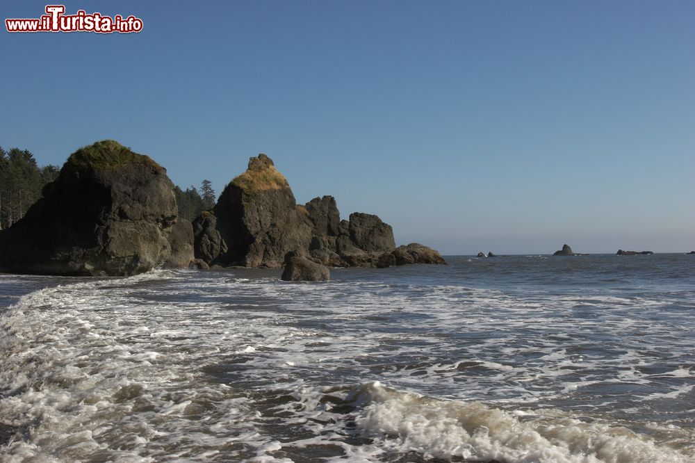 Immagine Uno scorcio dell'Olympic National Park a Olympia, Washington, Stati Uniti. Ogni anno, milioni di persone visitano quest'area naturale per ammirarne la bellezza dei paesaggi.