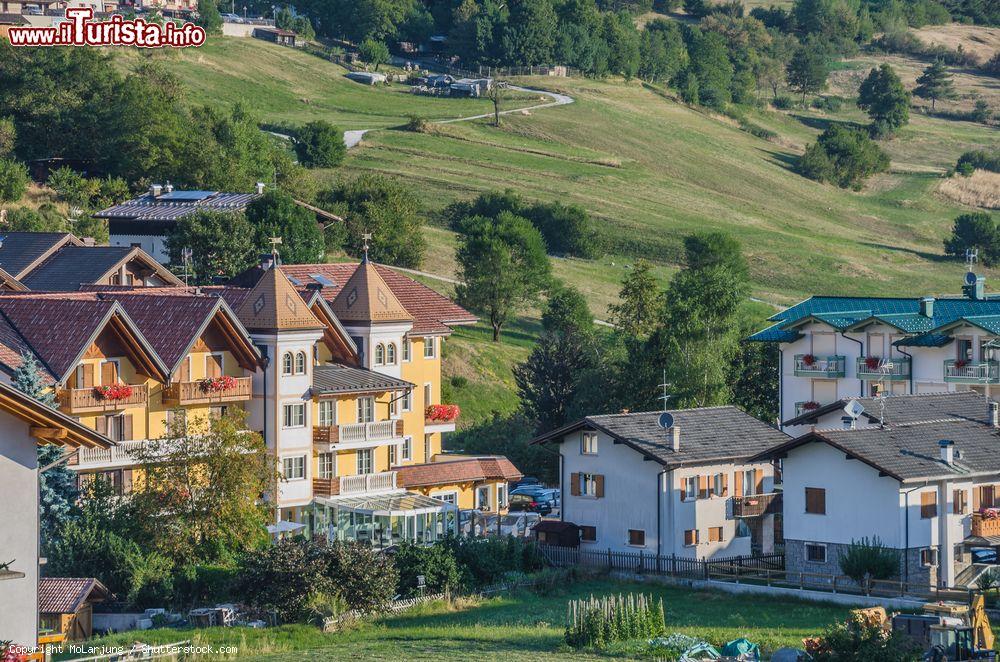 Immagine Uno scorcio di Andalo e i suoi resort turistici in Trentino - © MoLarjung / Shutterstock.com