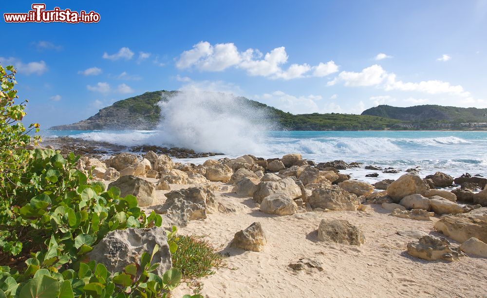 Immagine Uno scorcio di Half Moon Bay, costa atlantica di Antigua e Barbuda, Caraibi. La spiaggia è contornata da una rigogliosa vegetazione ed oggi è parco nazionale.