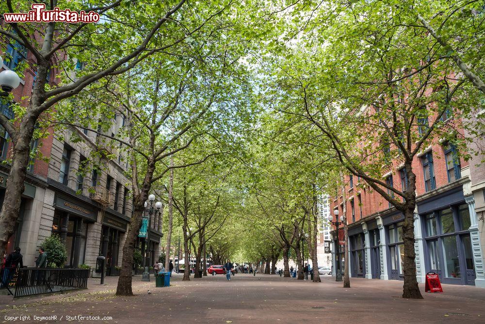 Immagine Uno scorcio di Occidental Avenue a Seattle, Washington. Occidental Park è il cuore del distretto storico di Pioneer Square, costruito nel 1971 in occasione della ristutturazione generale dell'area - © DeymosHR / Shutterstock.com