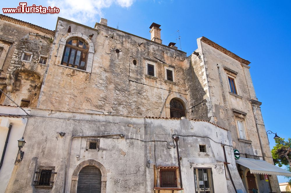 Immagine Uno scorcio di Palazzo Pinto a Ischitella, Puglia. Il castello, noto anche come Ventrella, venne edificato nel XII° secolo e poi ricostruito nel Settecento, dopo essere stato distrutto dal terremoto del 1649, ad opera del principe Francesco Emanuele Pinto.