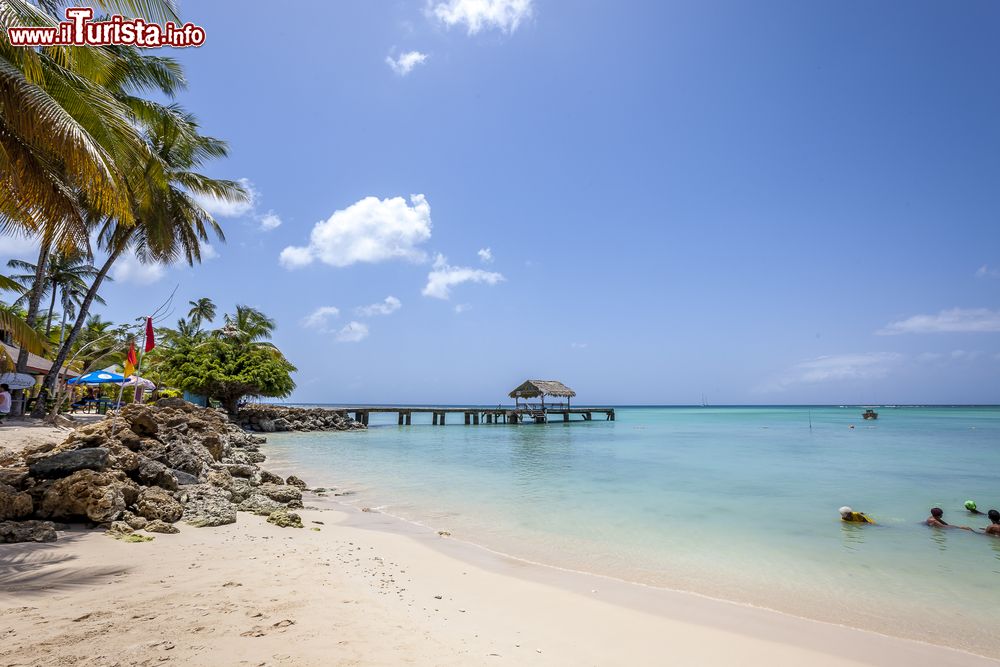 Immagine Uno scorcio di spiaggia a Tobago, America Centrale. Sullo sfondo, il pontile in legno che si protende nelle acque caraibiche.