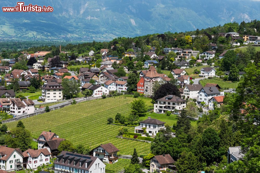 Immagine Vaduz, capitale del Liechtenstein. Musei, luoghi dedicati alla cultura, chiese e edifici storici: nonostante le piccole dimensioni di questa cittadina si possono ammirare diversi gioielli architettonici e artistici.