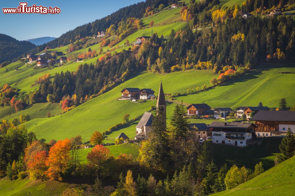 Immagine La Val di Funes in Trentino Alto Adige, Italia. Colori autunnali per la natura nei pressi di Santa Maddalena con le cime delle Odle sullo sfondo.