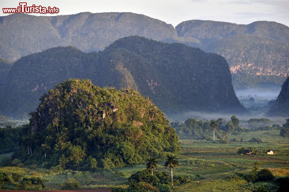 Immagine La splendida Valle de Viñales (Cuba) al mattino, con la nebbia che si insinua tra i mogotes, sopra i campi di tabacco e caffè.