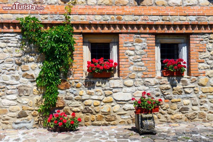 Immagine Il Monastero di Moldovița risale al XVI secolo e si trova nella località di Vatra Moldoviței, nei pressi di Suceava, in Romania - foto © Dziewul / Shutterstock.com