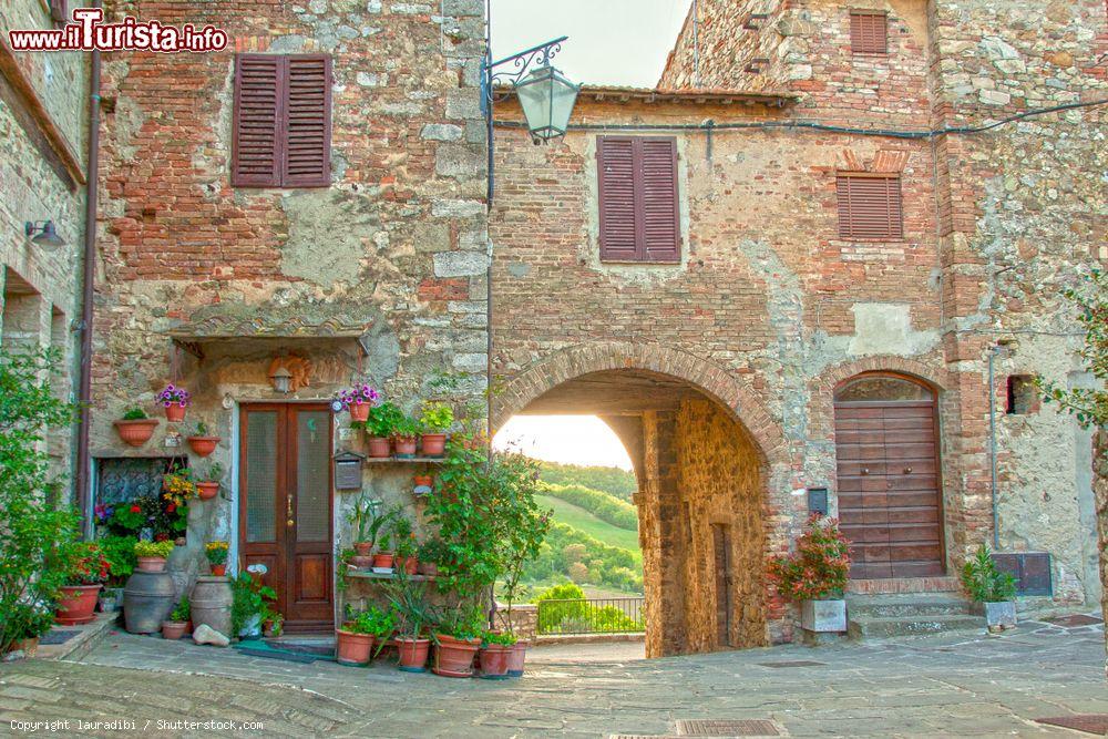 Immagine Vecchi edifici di Castiglione d'Orcia, borgo della Val d'Orcia in Toscana - © lauradibi / Shutterstock.com