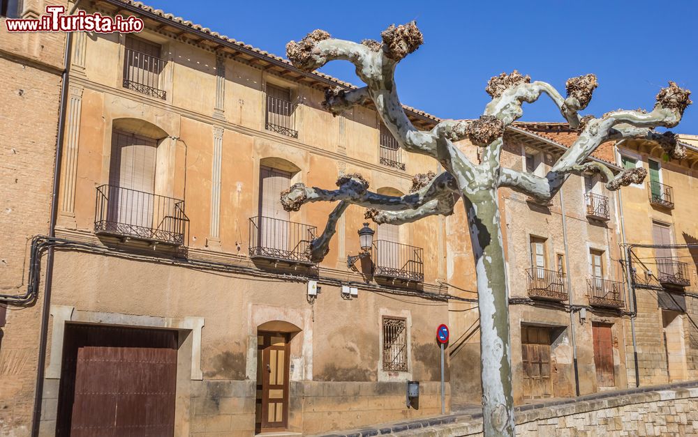 Immagine Vecchi edifici nel centro storico di Daroca, Spagna. In primo piano, un albero potato durante la stagione invernale.