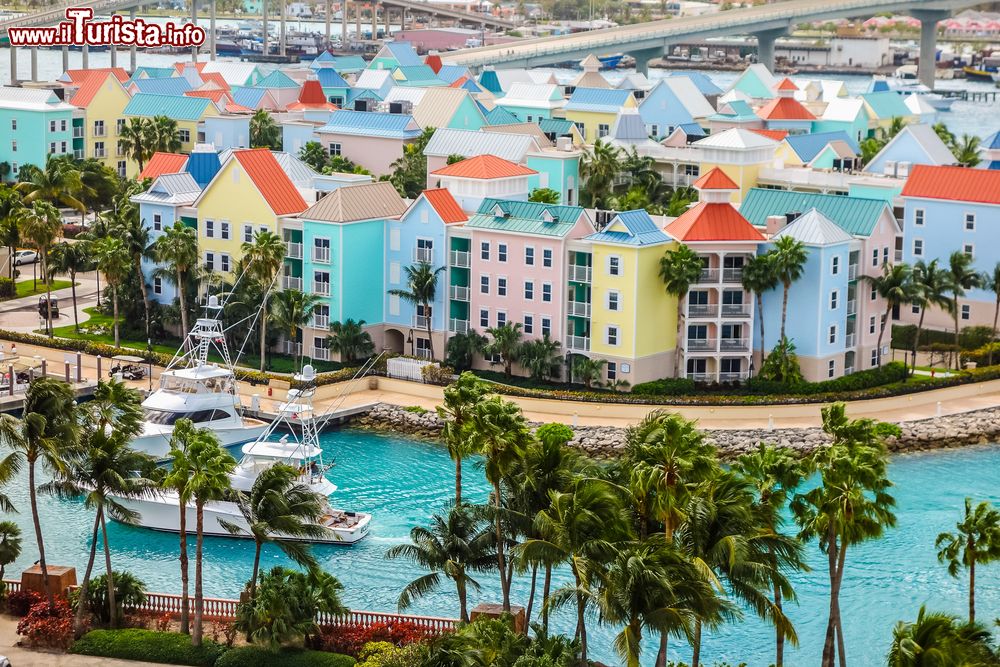 Immagine Veduta aerea del centro di Nassau, Bahamas. Circondate da acque cristalline, le case colorate della capitale dell'arcipelago delle Bahamas sono uno degli elementi distintivi di questo territorio.
 