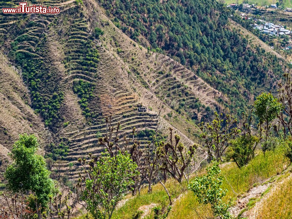 Immagine Veduta aerea della regione himalayana nel distretto di Chamba, Himachal Pradesh, India. Questo lembo di terra, che ha come capoluogo l'omonima cittadina, conta oltre 430 mila abitanti.