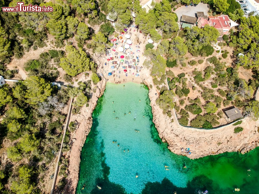 Immagine Veduta aerea della spiaggia di Cala Gracioneta isola di Ibiza, Spagna.