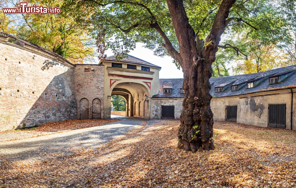 Immagine Veduta autunnale del Cancello Rosso nel centro di Augusta, Germania.