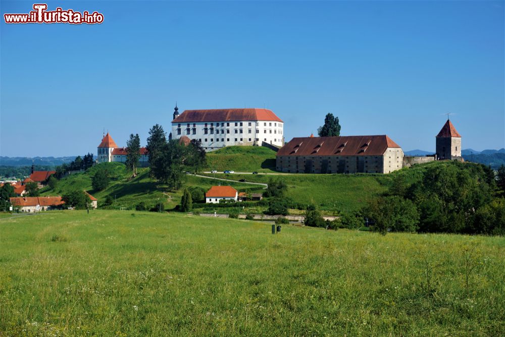 Immagine Veduta da una finestra della città antica di Ptuj, Slovenia. La città ospita interessanti monumenti fra cui due monasteri, il Municipio, musei e botteghe di artigianato locale. 