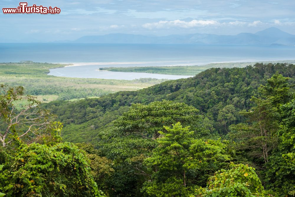 Immagine Veduta dall'alto del Daintree National Park a Cape Tribulation, Australia. Foresta e spiaggia rendono questo luogo particolarmente suggestivo.