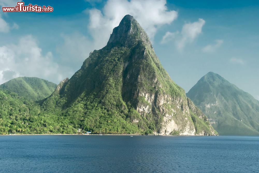 Immagine Veduta degli spettacolari monti Piton sull'isola di Saint Lucia, Soufriere. Alti rispettivamente 770 e 743 metri, Gros e Petit Piton sono due formazioni vulcaniche patrimonio dell'umanità.