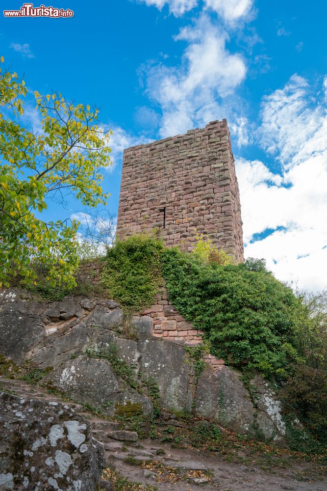 Immagine Veduta dei Tre Castelli di Eguisheim vicino a Hohlandsbourg, Alsazia (Francia).