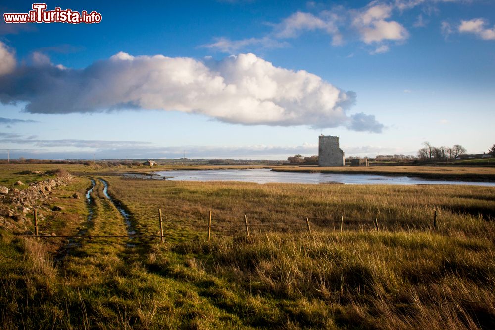 Immagine Veduta del castello di Carrigafoyle nei pressi di Ballylongford, Irlanda: le rovine si possono visitare gratuitamente 4 mesi all'anno.