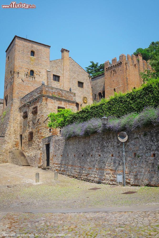 Immagine Veduta del castello di Monselice, Veneto, Italia. Ai piedi del colle della Rocca si innalza maestoso un complesso architettonico noto come Castello Cini che raggruppa diverse tipologie di costruzioni. Prima dimora signorile, poi torre difensiva e infine villa veneta, il castello è uno degli edifici storici più importanti d'Italia - © Vereshchagin Dmitry / Shutterstock.com