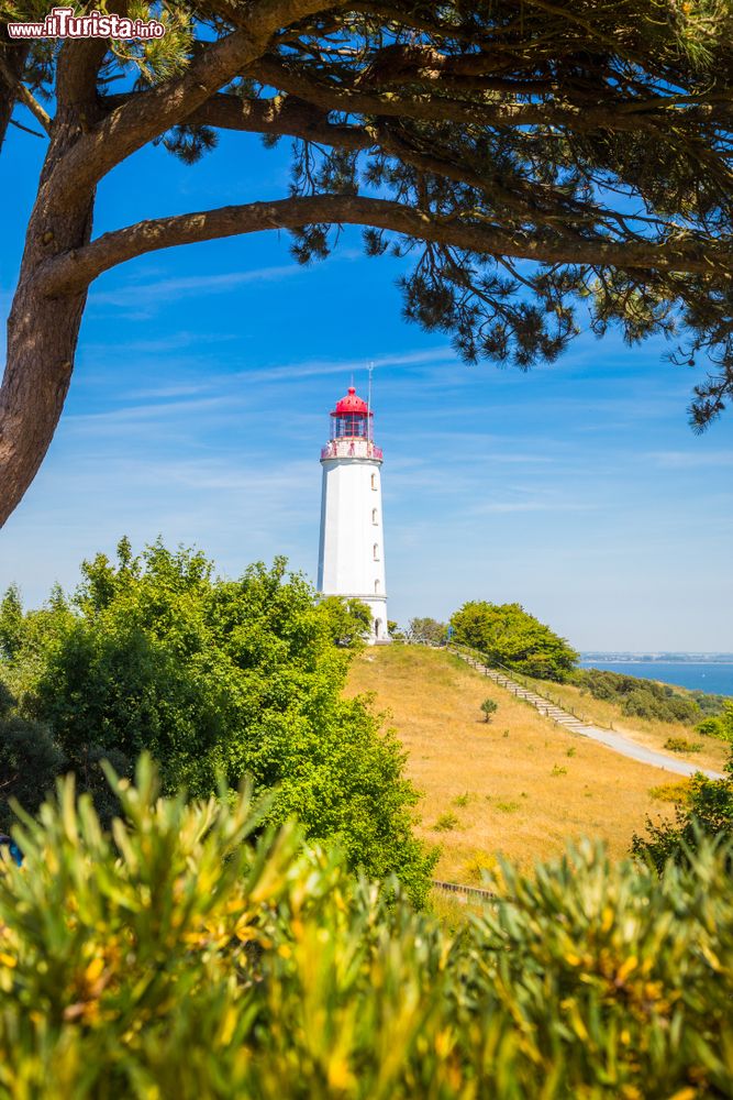 Immagine Veduta del famoso faro Dornbusch sull'isola Hiddensee, Meclemburgo-Pomerania (Germania). A fare da cornice, il paesaggio fiorito affacciato sul Mar Baltico.