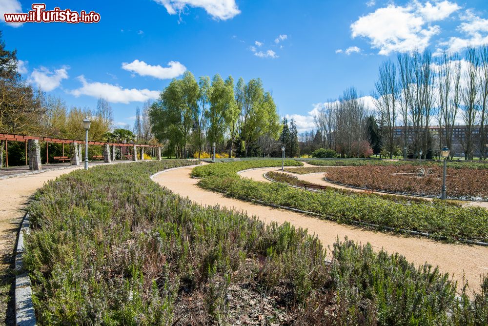 Immagine Veduta del parco di Arriaga a Vitoria Gasteiz, Spagna. Questa località spagnola fondata alla fine del XII° secolo è una cittadina che vanta una struttura urbanistica esemplare.