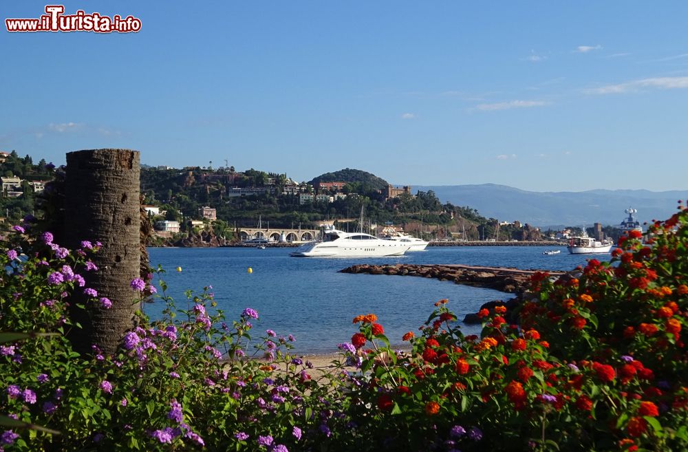 Immagine Veduta del porto di Théoule-sur-Mer (Francia) la mattina presto.