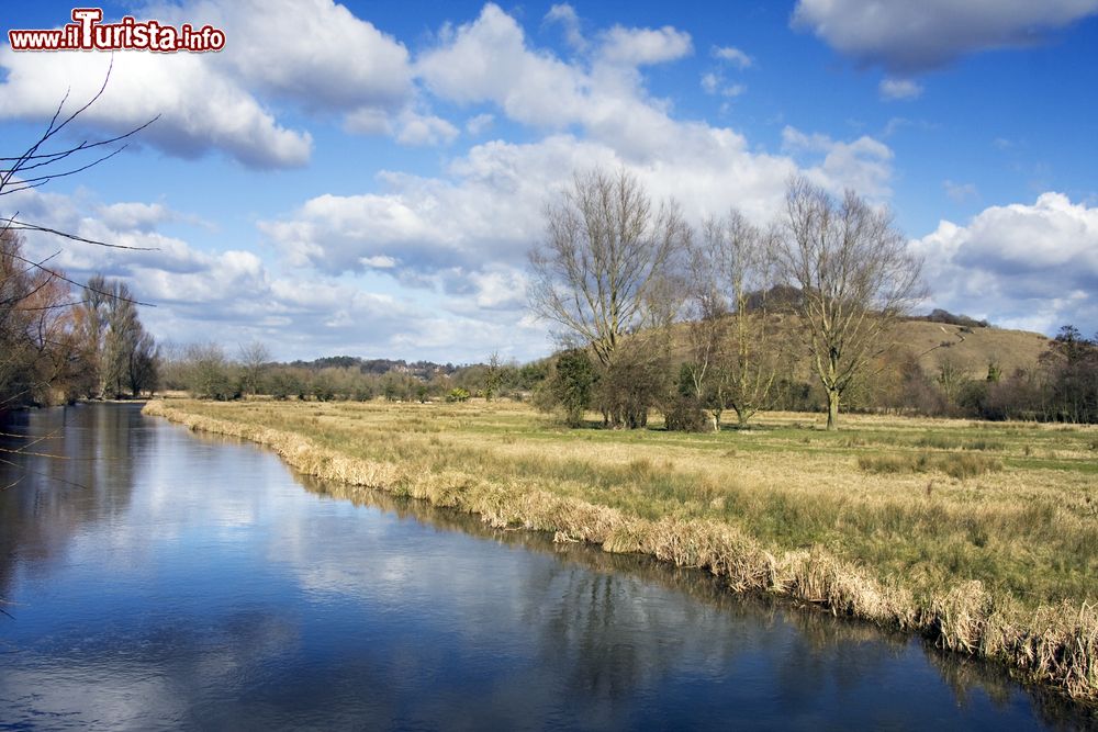 Immagine Una bella veduta della campagna inglese in primavera nei pressi di Winchester, Inghilterra.