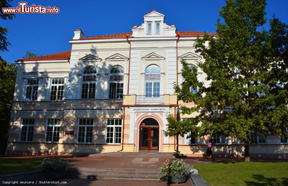 Immagine Veduta della Didzdvaris Gymnasium School of General Education a Siauliai, Lituania. Qui si possono frequentare corsi di laurea internazionale - © meunierd / Shutterstock.com