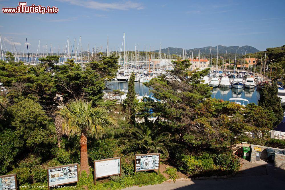 Immagine Veduta della marina sull'isola di Embiez, Francia. Conosciuta e apprezzata dai turisti e dagli amanti del mare e delle immersioni, l'isola ospita un importante istituto oceanografico che si occupa di ricerca nei campi della biologia e dell'ecologia oltre che di sensibilizzare il pubblico sulle ricchezze e le fragilità del Mediterraneo - © zaferkizilkaya / Shutterstock.com