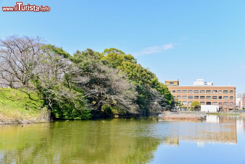 Immagine Veduta dell'ingresso al Parco Maizuru di Fukuoka, Giappone. Costruito attorno alle rovine del castello di Fukuoka, questo grande parco si trova a soli 15 minuti da Tenjin, centro della città giapponese. E' celebre per essere un punto di osservazione di ciliegi in fiore.