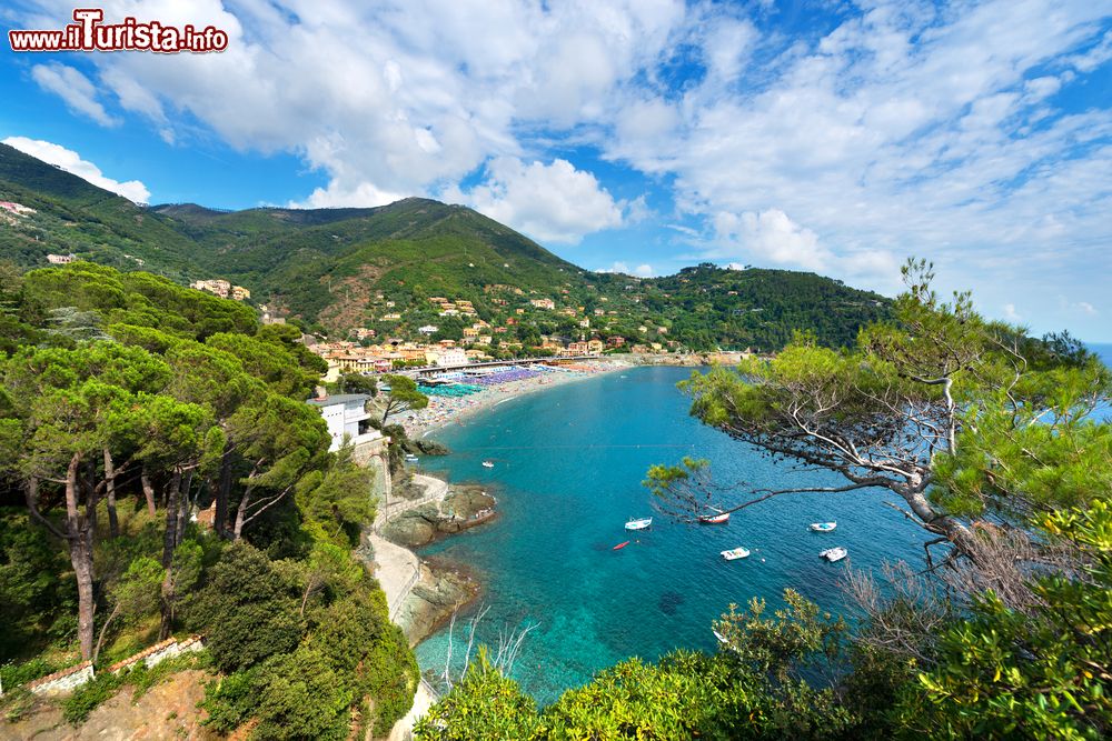 Immagine Veduta di Bonassola, Liguria, Italia. Il suggestivo paesaggio naturale che circonda questa località situata in un golfo della costa ligure di levante.