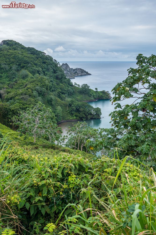 Immagine Veduta di Catham Bay a Cocos Island, Costa Rica. La costa frastagliata è caratterizzata da una fitta vegetazione verde.