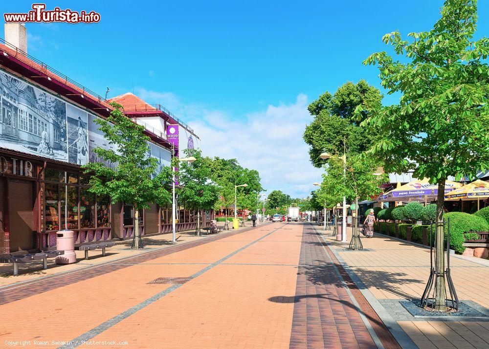 Immagine Veduta di Jonas Basanaviciaus Street nel centro cittadino di Palanga, Lituania - © Roman Babakin / Shutterstock.com