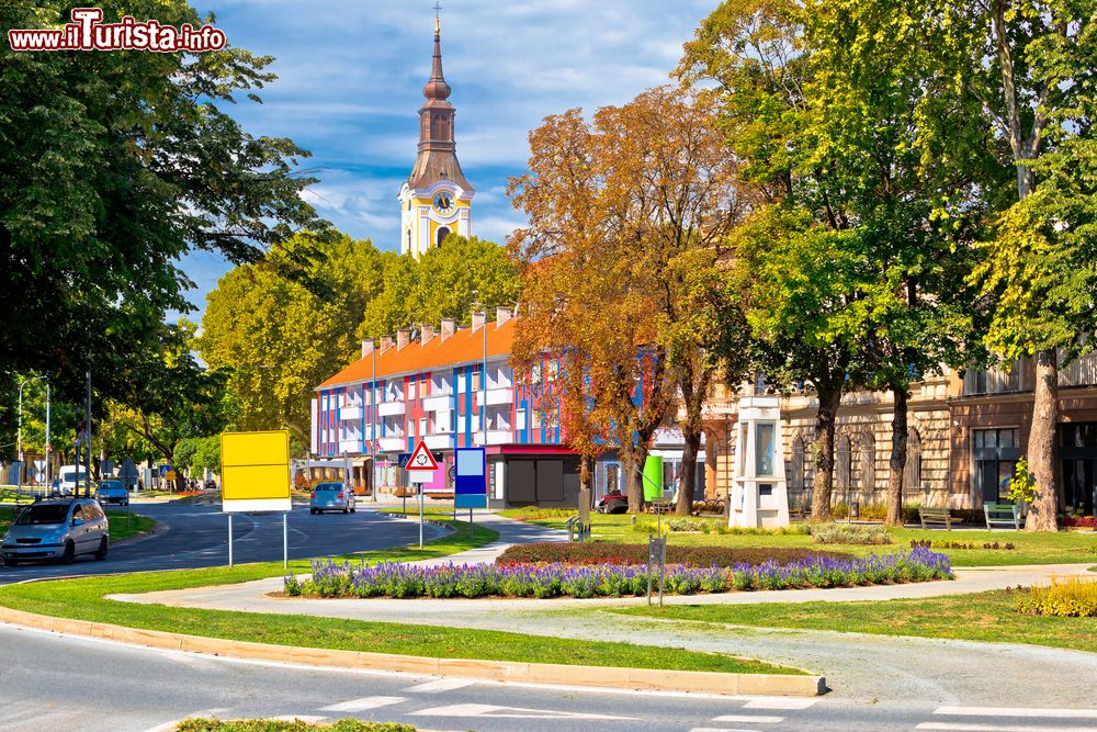 Immagine Veduta di una strada nella città di Virovitica, Slavonia, Croazia. Questa graziosa cittadina si trova vicino al confine con l'Ungheria, poco distante dal fiume Drava e sulle pendici settentrionali del monte Bilogora.