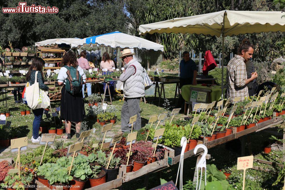 Immagine Veduta di un'esposizione nel giardino botanico di Montepllier, Francia. Si tratta dell'evento chiamato "Primavera" dove vengono venduti fiori e piante - © BOULENGER Xavier / Shutterstock.com