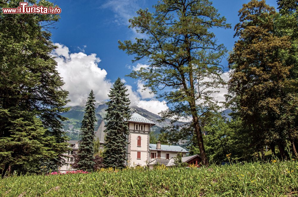 Immagine Veduta estiva della natura verdeggiante a Saint-Gervais-les-Bains, Francia, vicino al Monte Bianco (Alpi).