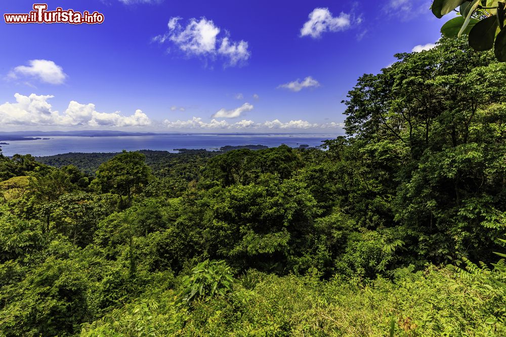 Immagine Veduta panoramica del lago Brokopondo, Suriname (Sud America). Di natura artificiale (creato sbarrando il fiume Suriname), ha un bacino idrografico di circa 12.200 km quadrati.