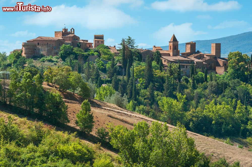 Immagine Veduta panoramica della città di Certaldo, Toscana, Italia. La parte medievale del borgo sorge su un colle mentre quella moderna, sviluppatasi dalla fine del Settecento, in pianura.