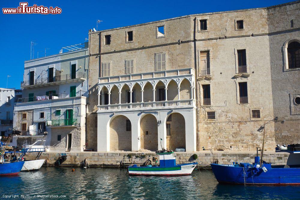 Immagine Veduta panoramica della città di Monopoli, Puglia, affacciata sul litorale adriatico - © Mi.Ti. / Shutterstock.com