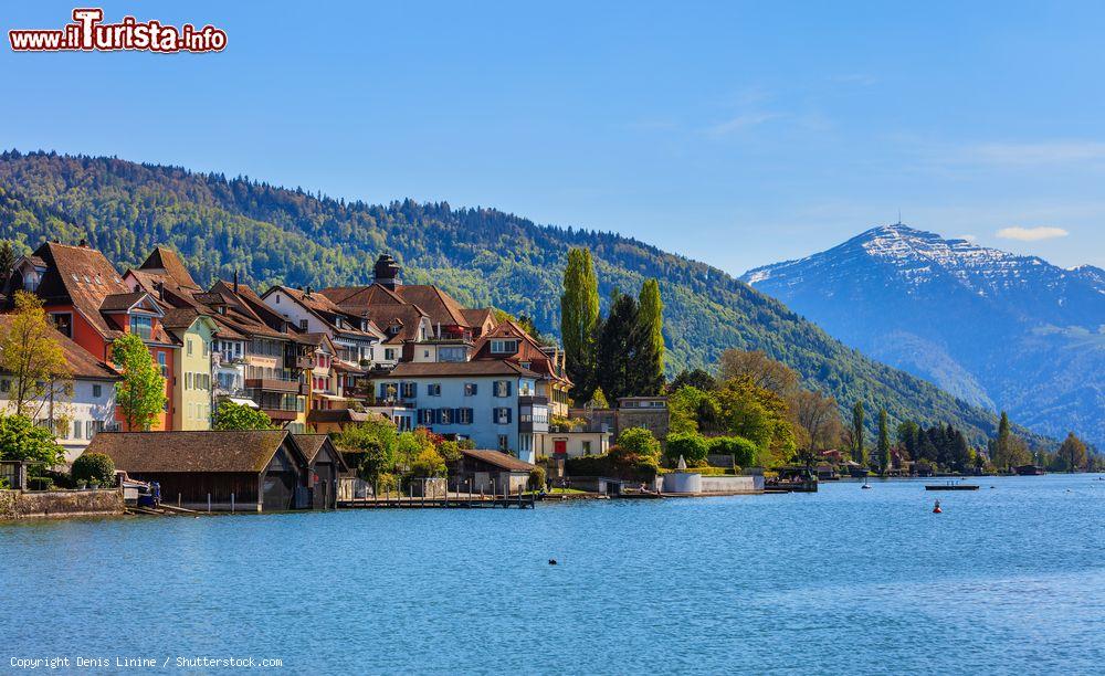 Immagine Veduta panoramica di Zugo da un'imbarcazione sul lago, Svizzera. Sullo sfondo, il monte Rigi - © Denis Linine / Shutterstock.com