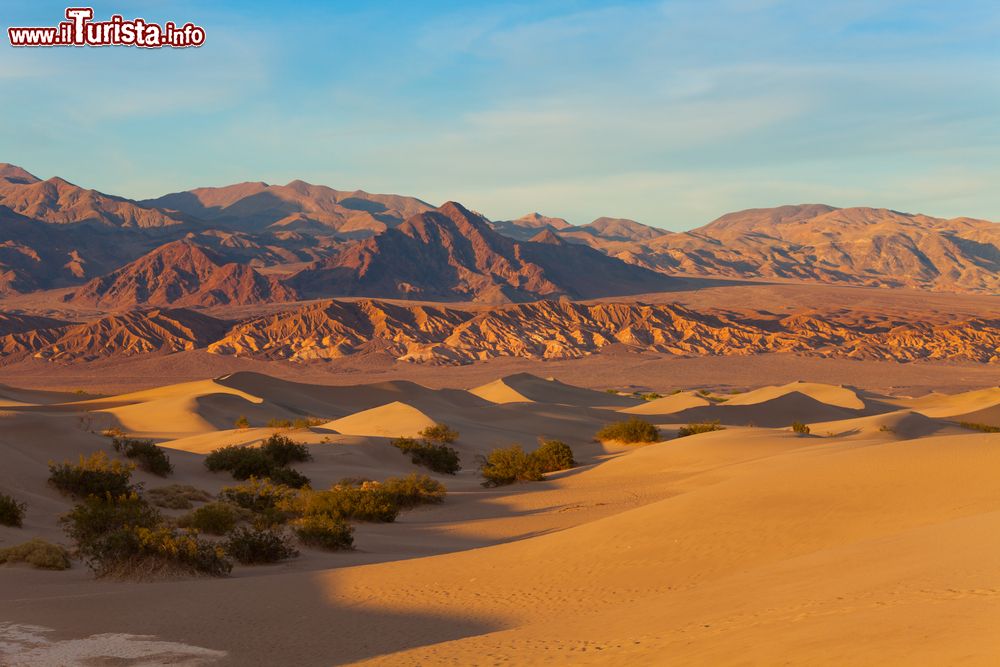 Immagine Veduta panoramica sulle dune di sabbia della Death Valley in California, Stati Uniti d'America. Il momento migliore per visitarle è poco prima dell'alba o del tramonto quando la luce regala i colori più suggestivi al paesaggio.