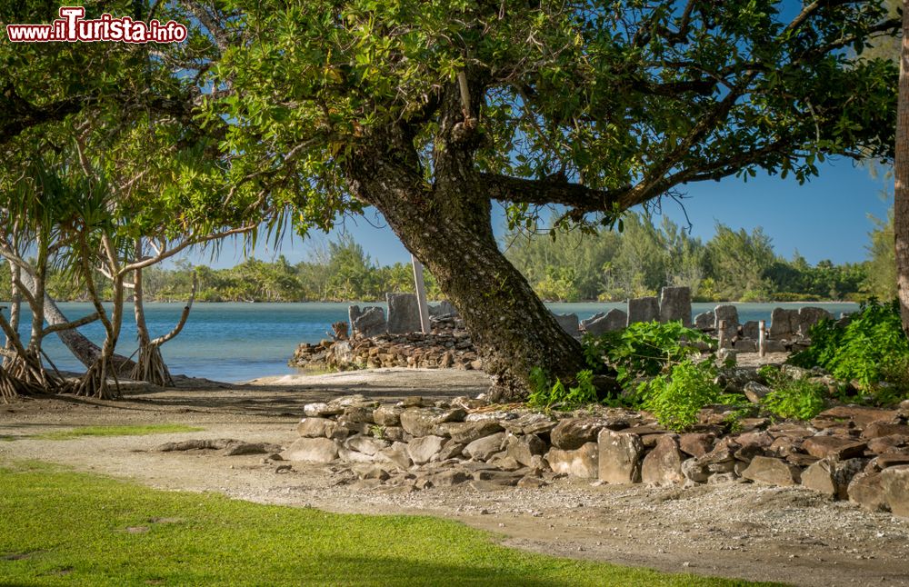 Immagine Vegetazione e laguna sull'isola di Huahine, Polinesia Francese.