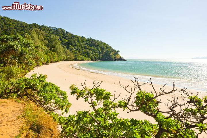 Immagine Vegetazione e mare a Koh Lanta, Thailandia - La bellezza paesaggistica di questo arcipelago, con la tipica vegetazione tropicale, è una delle sue attrazioni principali © Mart Koppel / Shutterstock.com