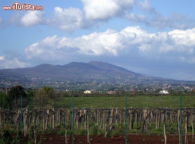 Immagine Le campagne intorno a Velletri e il Monte Artemisio dei colli Albani - © Deblu68 - Wikimedia Commons.