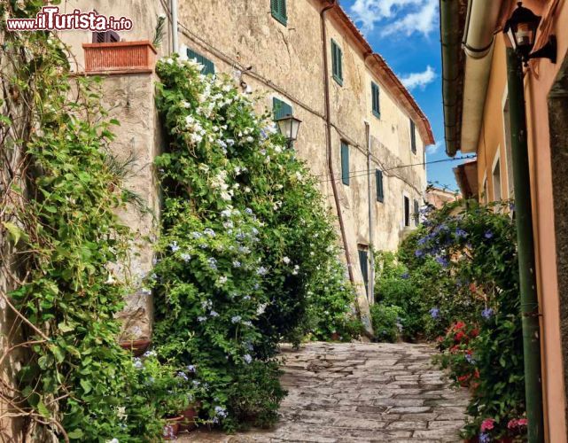 Immagine Via nel centro storico di Marciana in Toscana - © Antonio S / Shutterstock.com