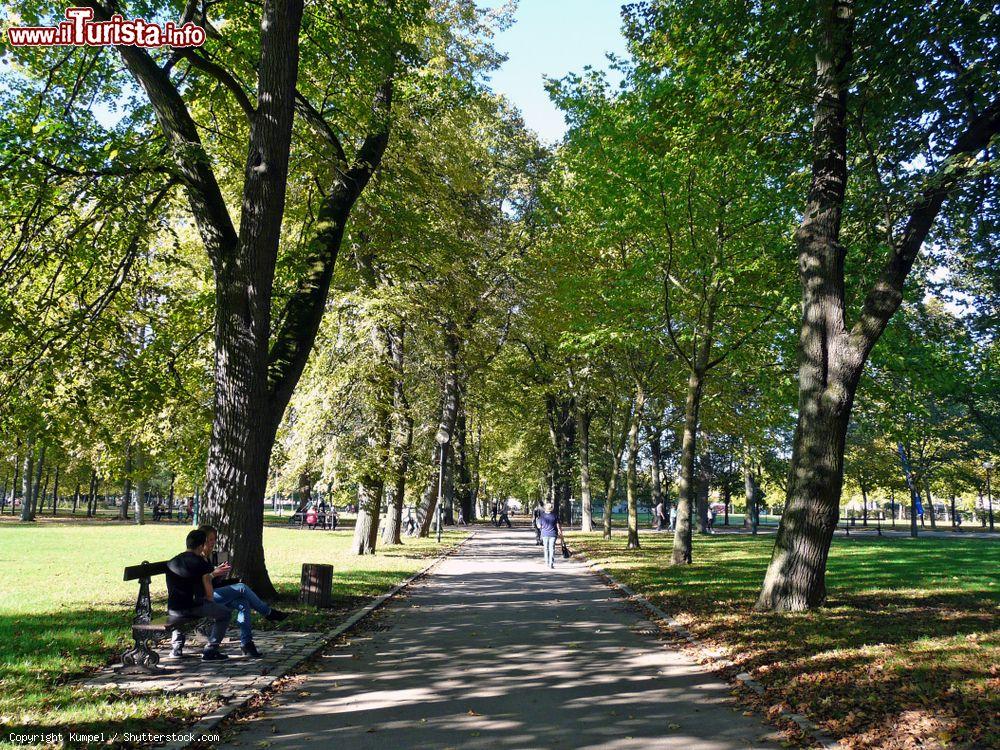 Immagine Viale alberato al parco della Pepiniere di Nancy, Francia - © Kumpel / Shutterstock.com