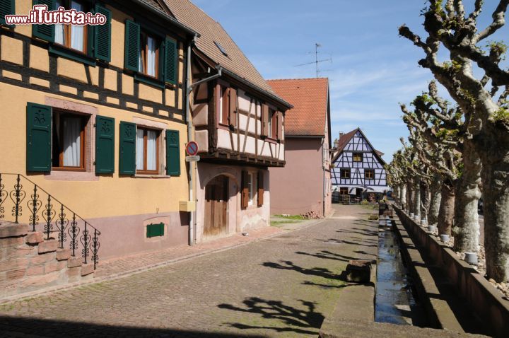 Immagine Viale alberato del centro di Bergheim Francia - © Pack-Shot / Shutterstock.com