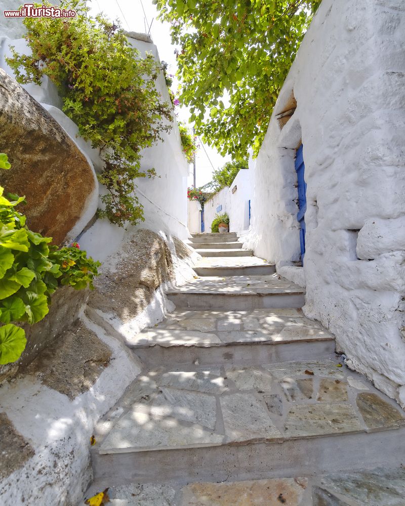 Immagine  Vicoletto nel centro di un borgo sull'isola di Tino, Grecia.