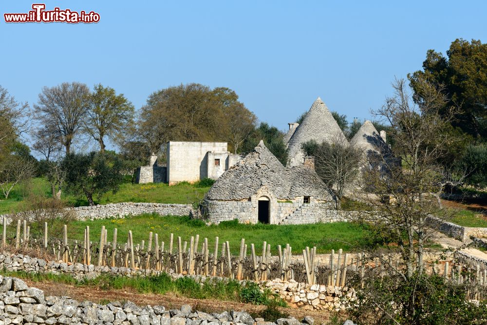 Immagine Vigneti e trulli nei pressi di Cisternino, Puglia. Il paese si affaccia sulla Valle d'Itria, la cosiddetta Murgia dei trulli.